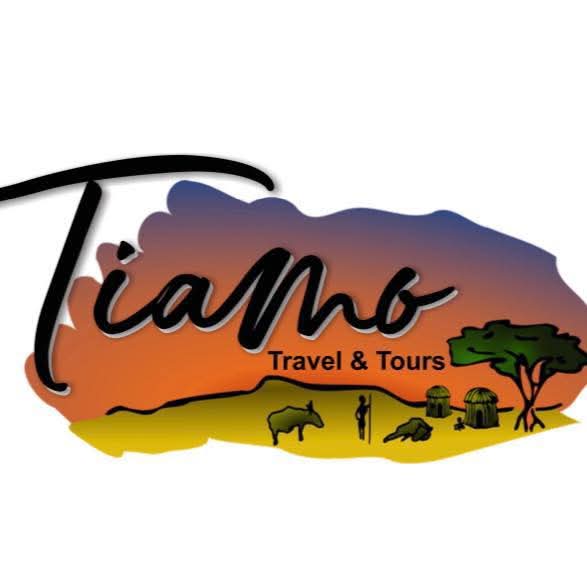 tiamotours.co.za