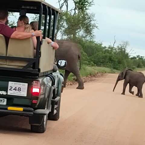 Kruger National Park